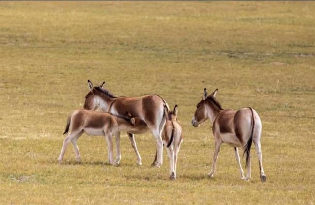 四版之三(4).jpg 四版之三(4).jpg