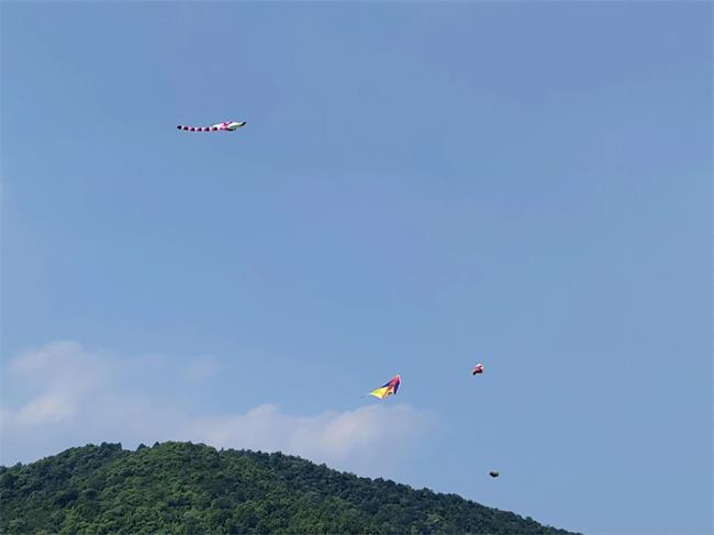 49e2d5f38d461467e85f01188fb484e4.jpg 49e2d5f38d461467e85f01188fb484e4.jpg